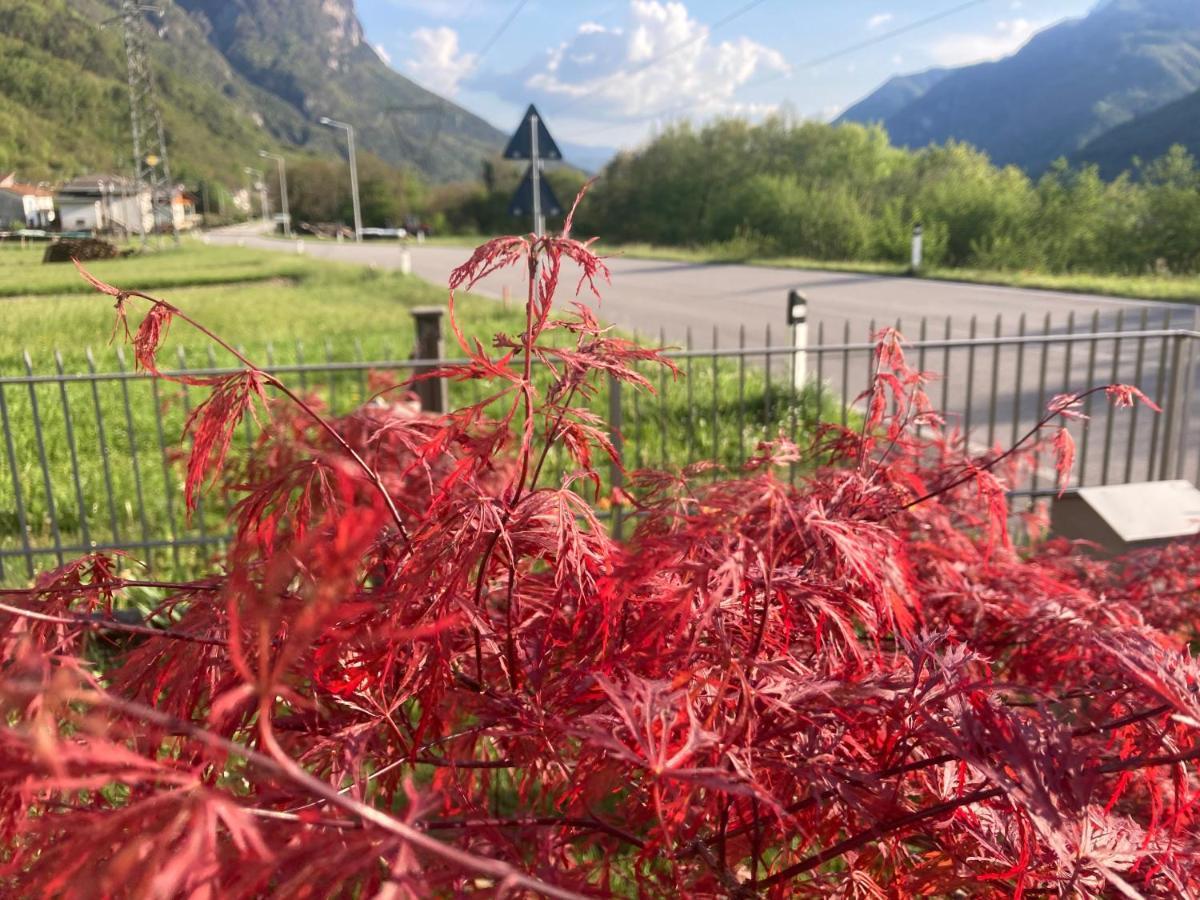 Meraki Dolomiti Longarone Eksteriør bilde
